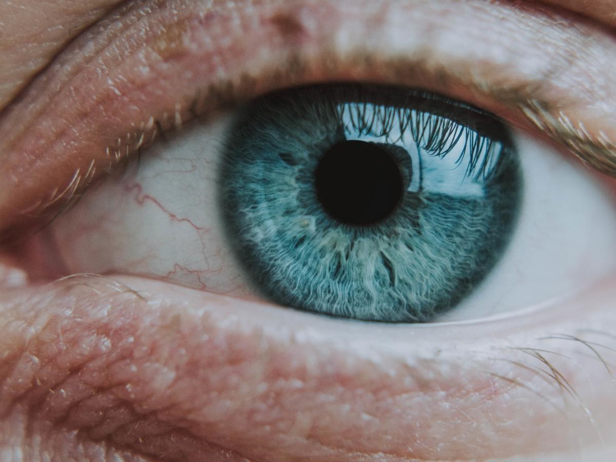 eye